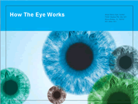 How The Eye Works